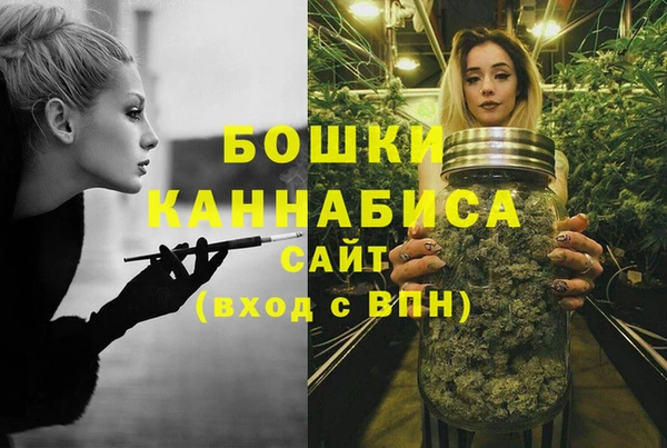 прущие грибы Горно-Алтайск