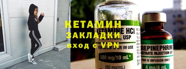 прущие грибы Горно-Алтайск