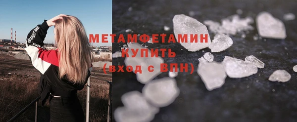 прущие грибы Горно-Алтайск