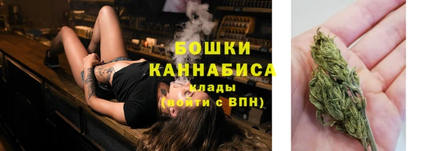 ГАЛЛЮЦИНОГЕННЫЕ ГРИБЫ Горнозаводск