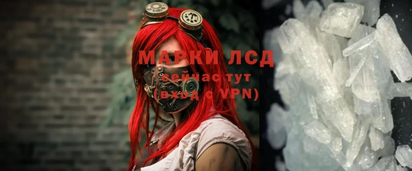 прущие грибы Горно-Алтайск