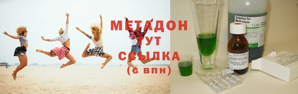 прущие грибы Горно-Алтайск