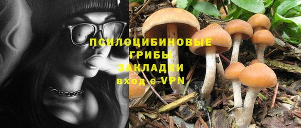 ГАЛЛЮЦИНОГЕННЫЕ ГРИБЫ Горнозаводск
