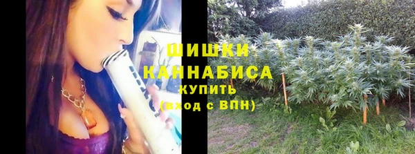 прущие грибы Горно-Алтайск