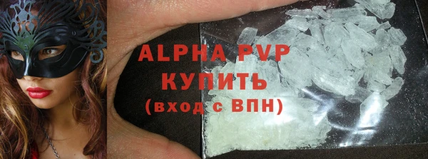 прущие грибы Горно-Алтайск