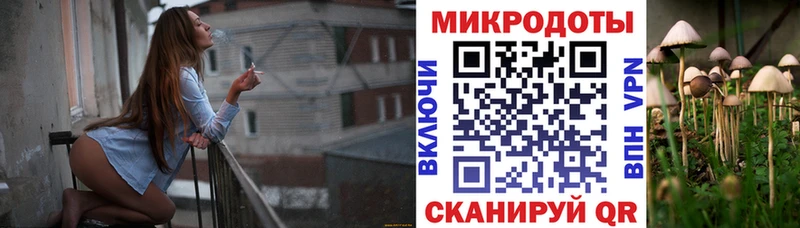 Купить  Нарьян-Мар  Псилоцибиновые грибы Cubensis 